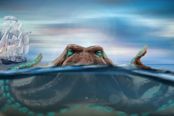 Kraken 17 at net