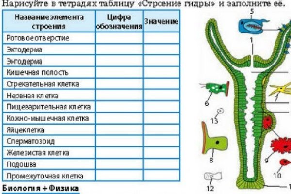 Адрес кракен в тор