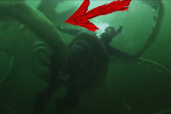 Kraken cc