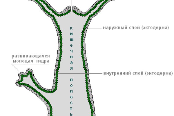 Кракен марихуана